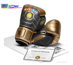 Găng Hayabusa Thanos Boxing Gloves