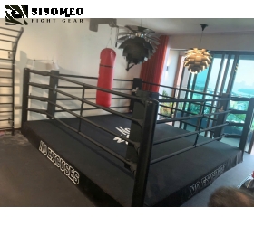 Đài Boxing Mini 4 X 4