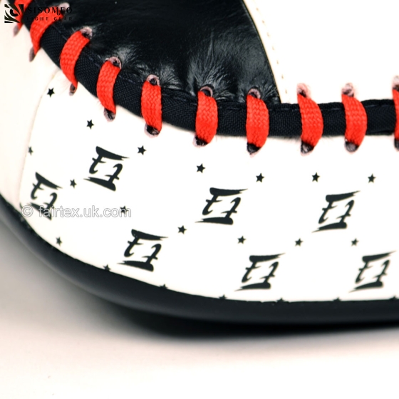 KPLC2 Fairtex Curved Standard Kick Pads